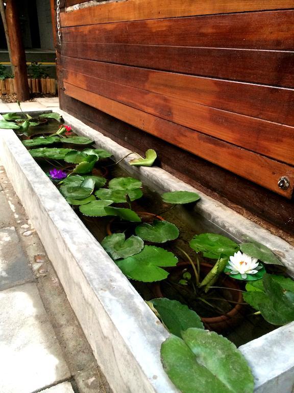 Green House Backpacker Hostel Chiang Mai Exterior photo